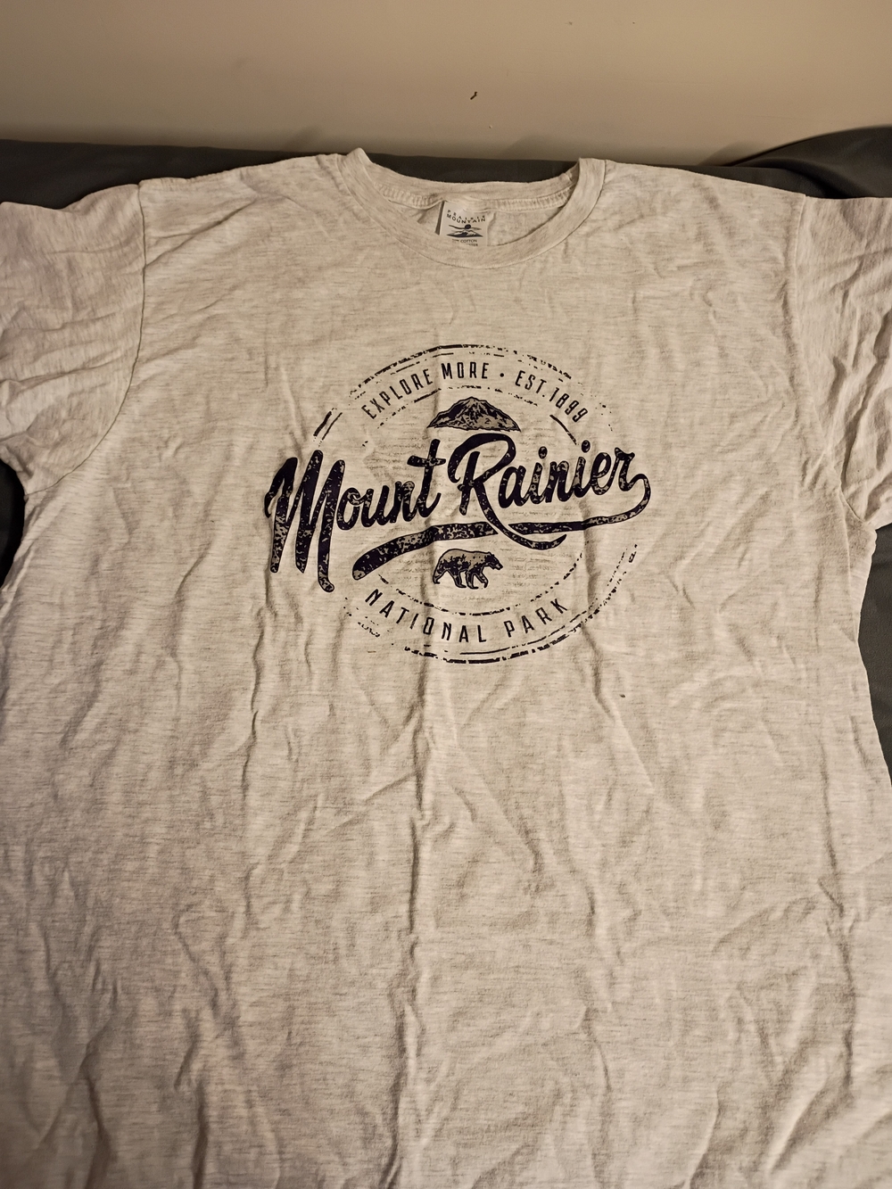 Mount Rainier Graphic Tee - Light Gray